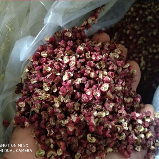 陇南大红袍花椒 特级 干花椒