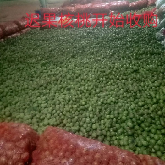 南华县云南核桃 35mm以上 去皮 散装