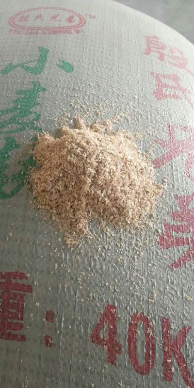 石家庄麦麸  麸皮