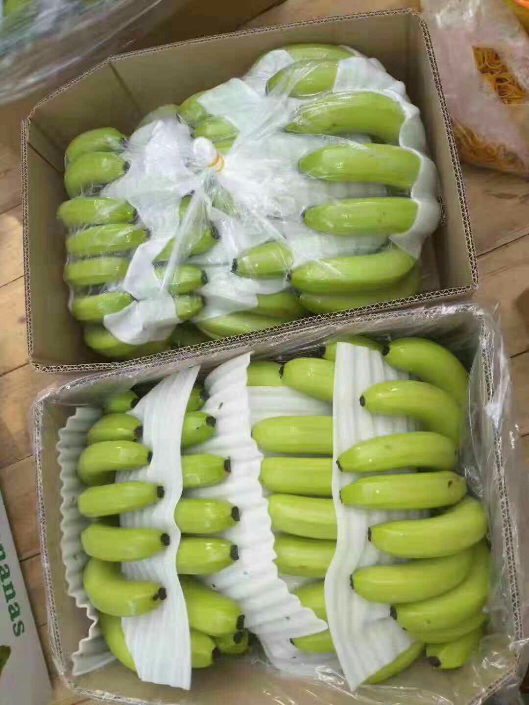 [威廉斯香蕉批发]威廉斯香蕉 七成熟价格2元/斤 