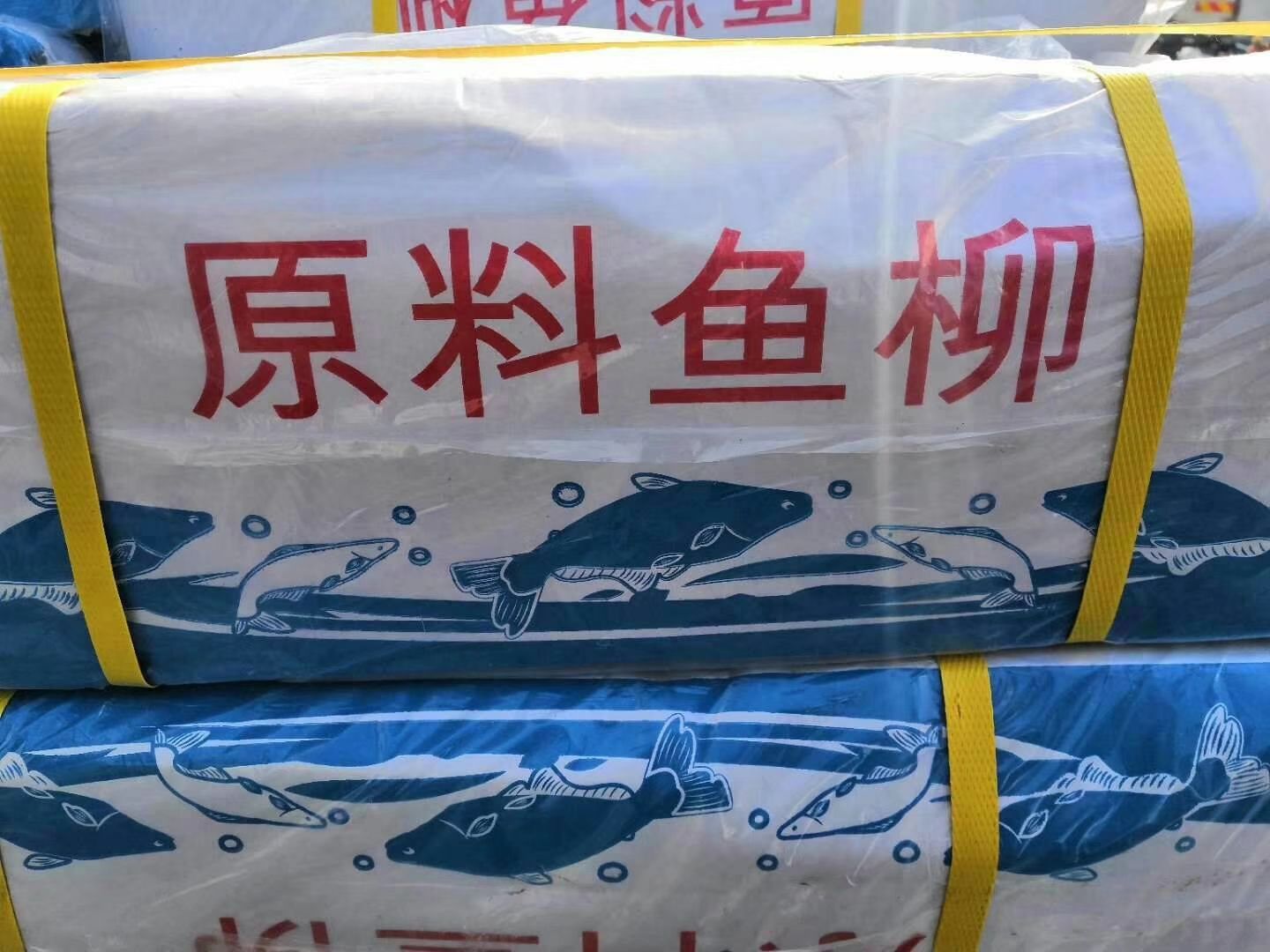 巴沙鱼  块，片，柳，肚，系列全。
