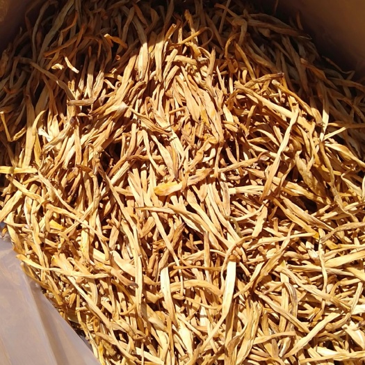环县七蕊黄花菜  甘肃庆阳原品一级黄花莱，包邮，保退换，无后顾之