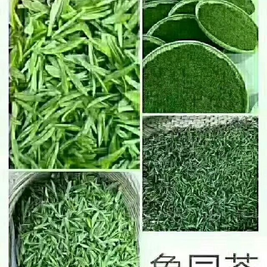 镇安县象圆茶 一级 袋装