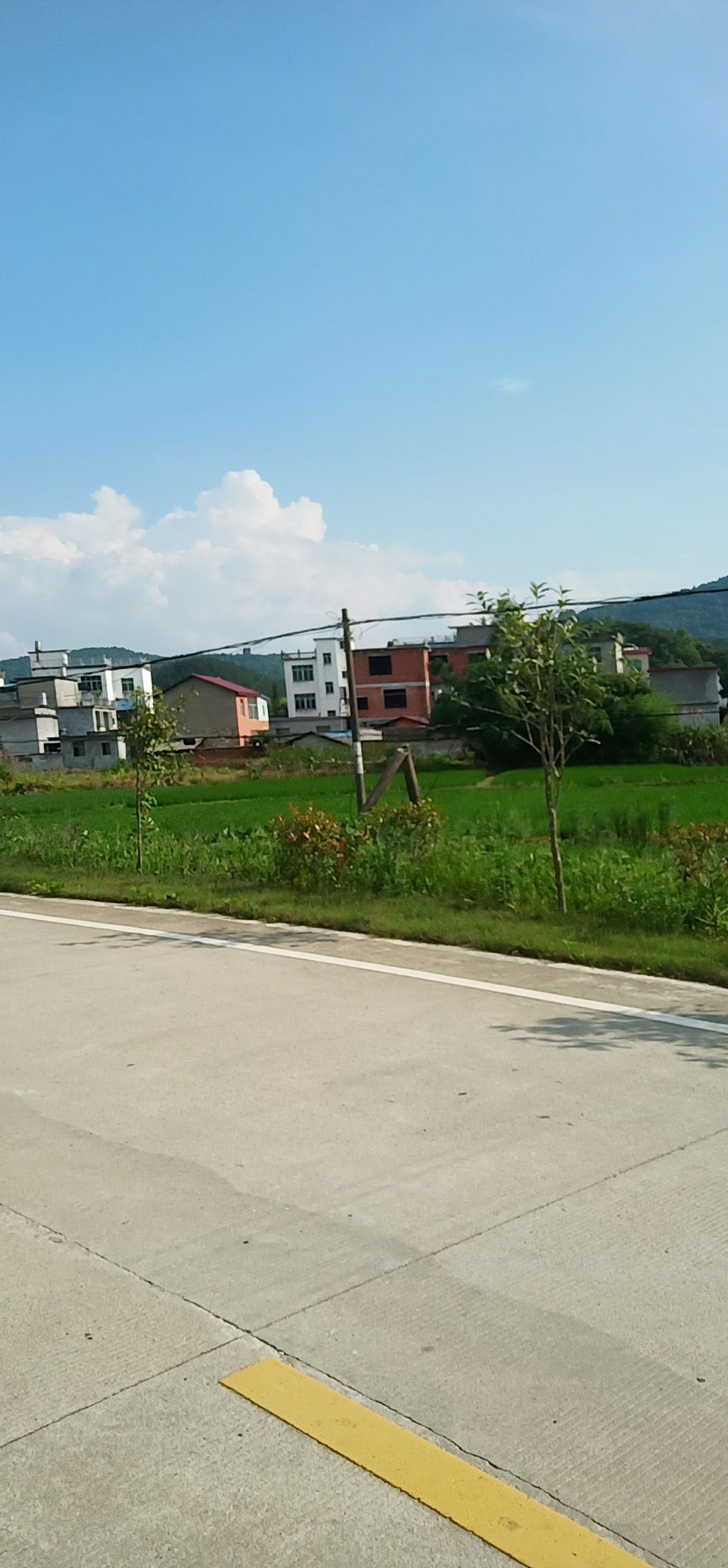 水田 闲田闲田招租或承包