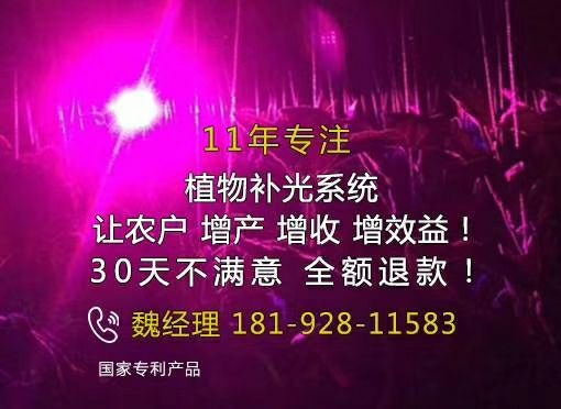 深圳植物补光灯 大棚补光灯厂家  补光灯