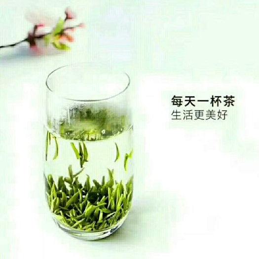 镇安县象圆茶 一级 袋装