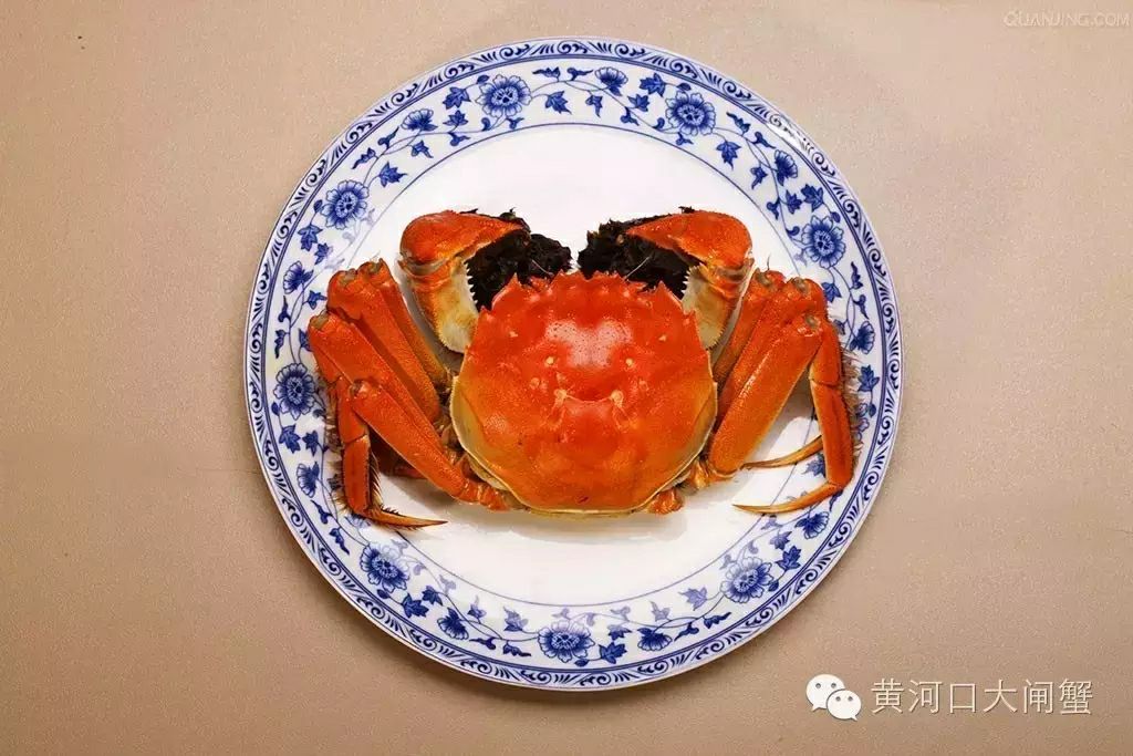 纯正**口大闸蟹