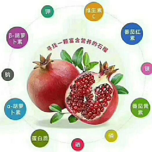 会理市 大凉山会理突尼斯软籽石榴
100％好评，资深吃货热情的推荐