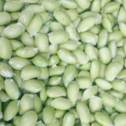 金华 手剥青豆米