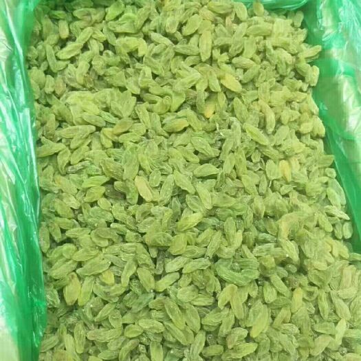 中牟县新疆绿葡萄干  一级大绿葡萄干