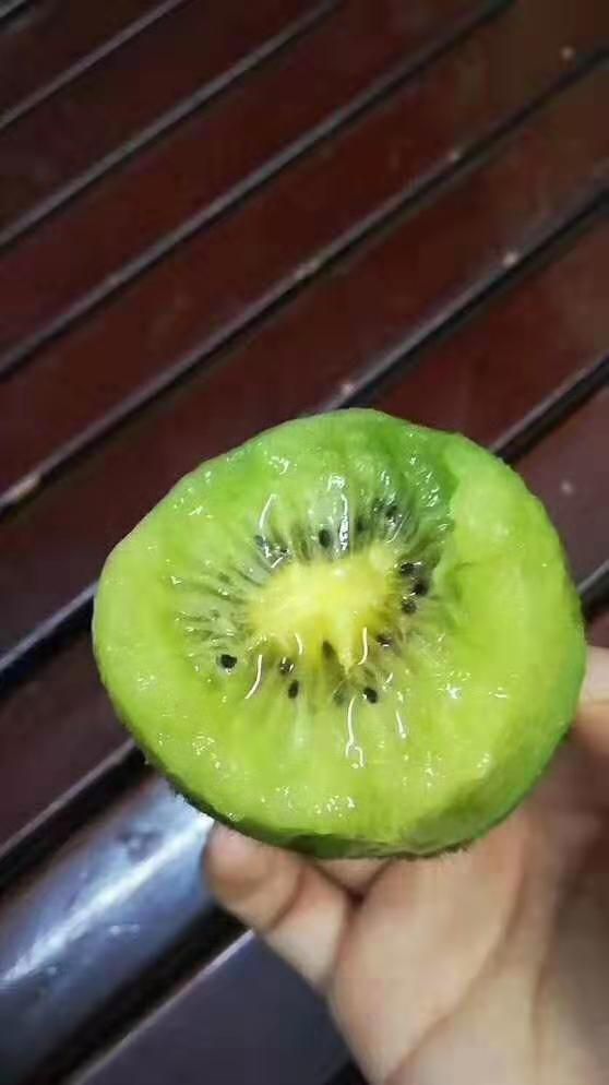  绿心猕猴桃眉县直供