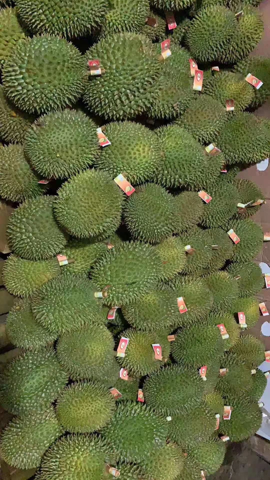 奶油猫山王榴莲 一件净重30斤  又香又甜又糯 出肉率高