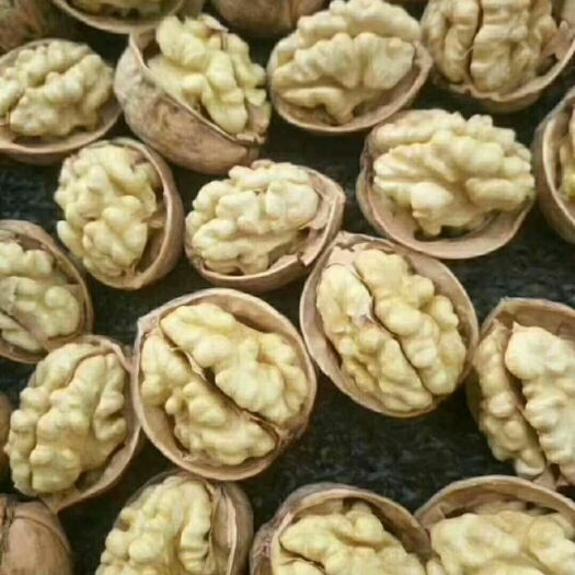 中牟县新疆185纸皮核桃，185品种超薄皮，轻捏继开