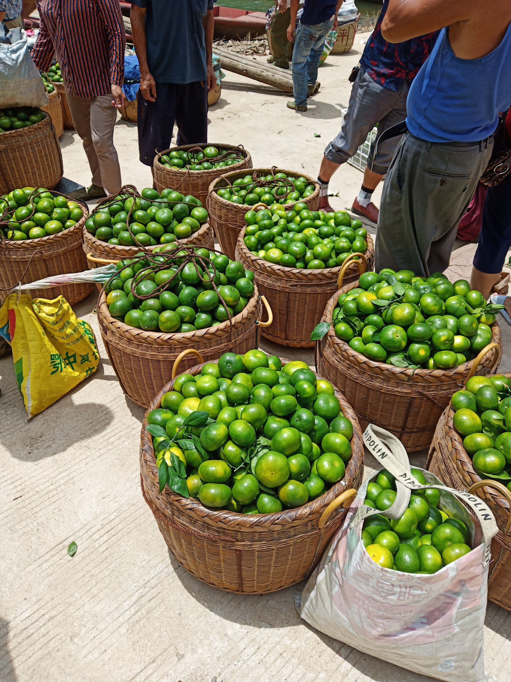 东江湖蜜橘 正宗东江湖蜜桔、四季小水果、杨梅、东江鱼，本人是家庭自营农场