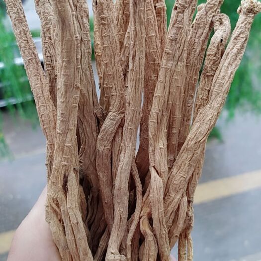 渭源县 渭源白条党参，岷县当归。含量足，干度好