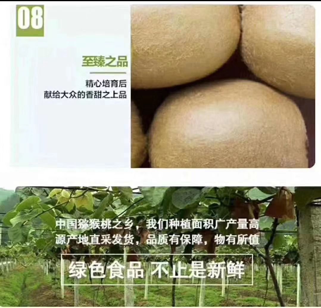  绿心猕猴桃眉县直供