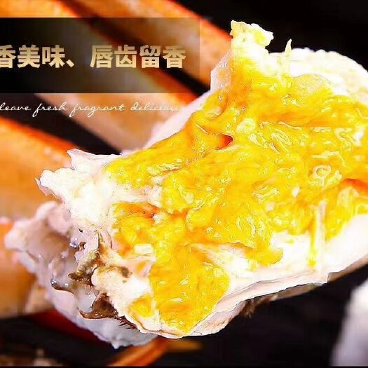 兴化市兴化大闸蟹 新手上路有需要的老板联系我价格便宜质量保障