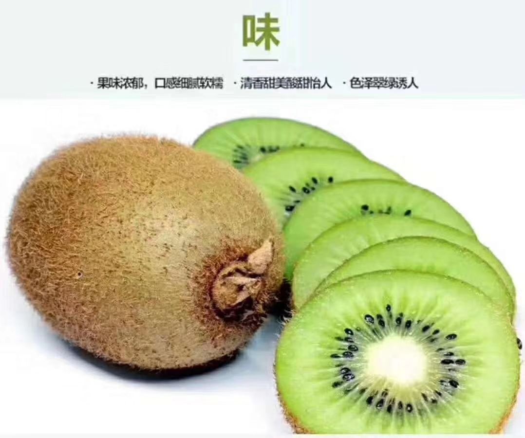  绿心猕猴桃眉县直供