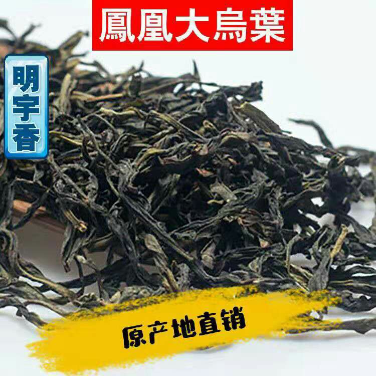 凤凰单丛 明宇香 原产地直销 凤凰大乌叶 浓香型 铁盒装