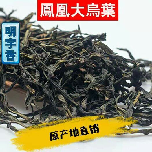 潮州凤凰单丛 明宇香 原产地直销 凤凰大乌叶 浓香型 铁盒装