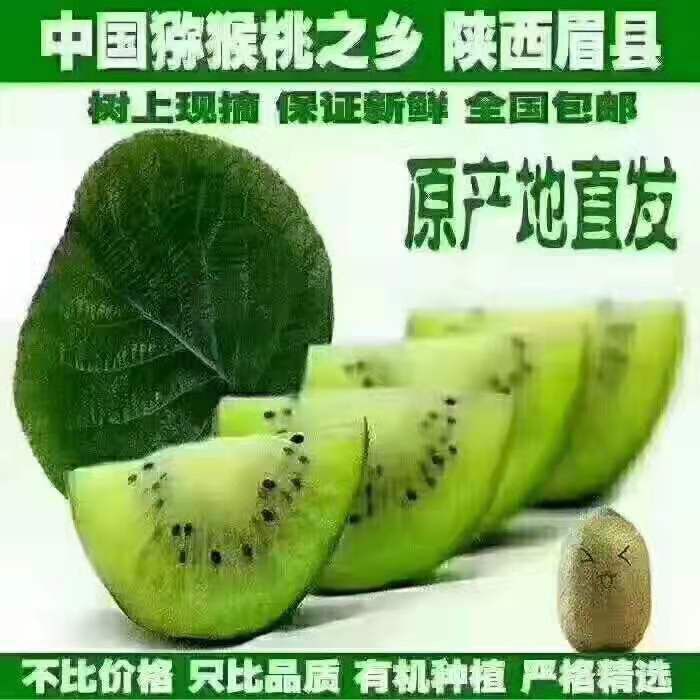  绿心猕猴桃眉县直供