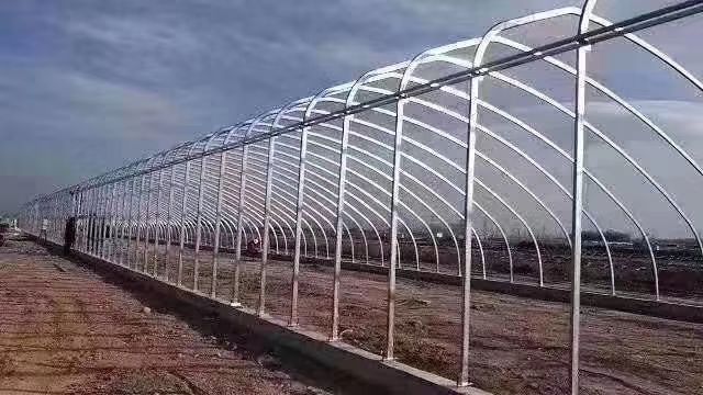 椭圆管骨架，适合养殖业，大跨度大棚，抗风，抗雪，承重能力强
