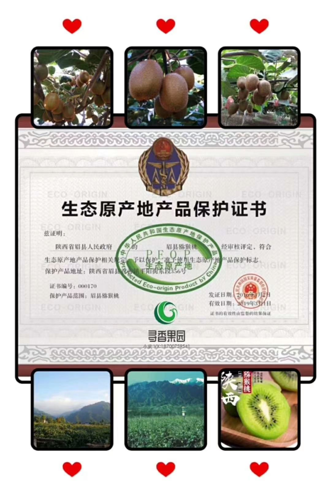  绿心猕猴桃眉县直供