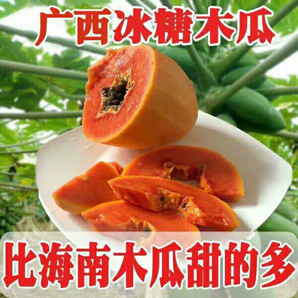  冰糖丰胸牛奶红心木瓜当季新鲜水果优惠包邮10斤/5斤