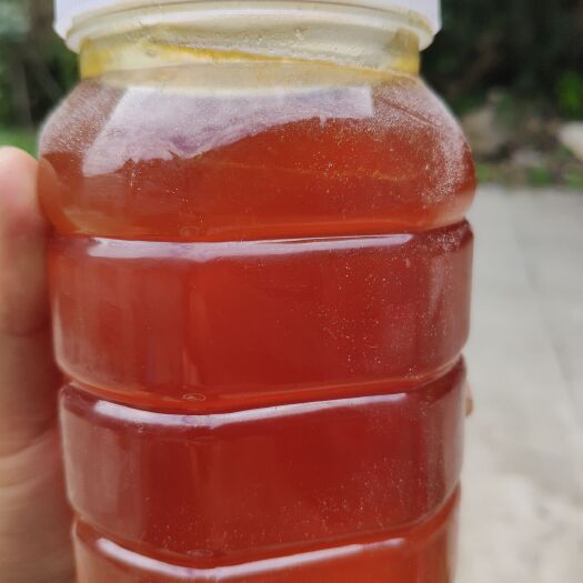 西安 父母在秦岭老家养的蜜蜂，真正的土蜂蜜百花蜜，一年只收一次蜂