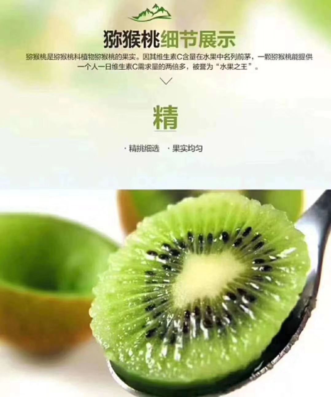  绿心猕猴桃眉县直供