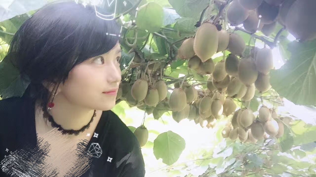 绿心猕猴桃 香甜可口米良一号