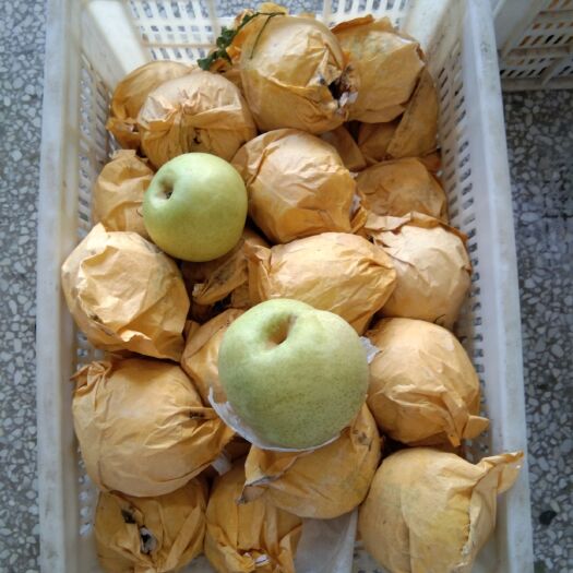 莱阳市莱阳梨 80mm以上 300-350g