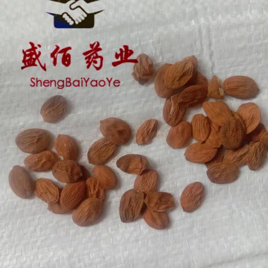 亳州桃仁  ，家，扁