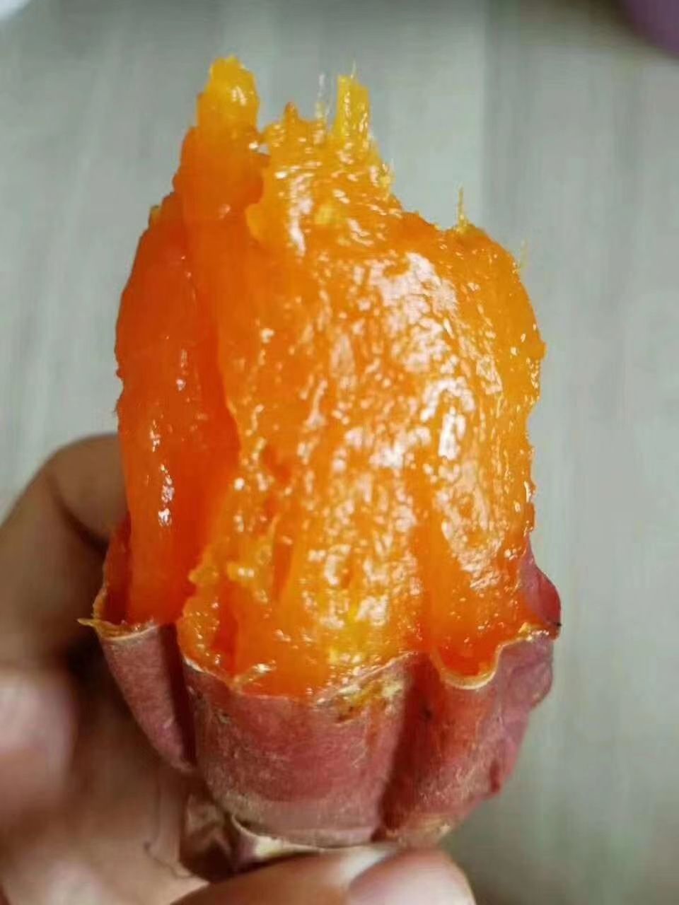  烟薯25大量开挖，西瓜红有现货！