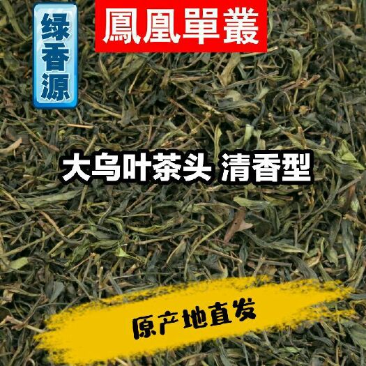 潮州凤凰单丛 原产地直发 凤凰大乌叶茶头 花香型 一件代发