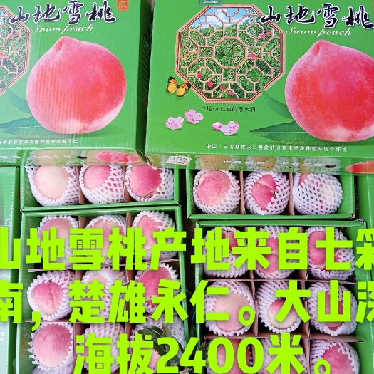 永仁县雪桃 55mm以上 4-5两
