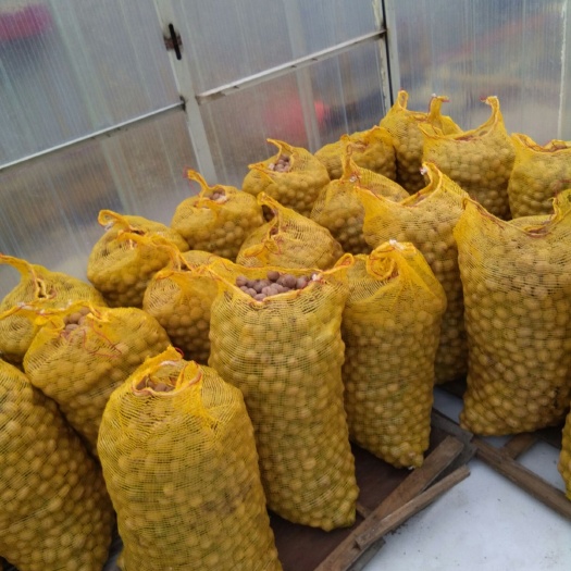 济南 香玲干核桃一件待发