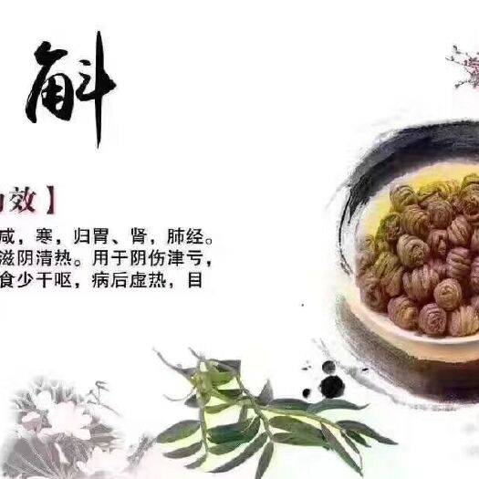 昆明 鲜榨铁皮石斛汁【新鲜铁皮石斛条】可以清除人体毒素，肺部垃圾