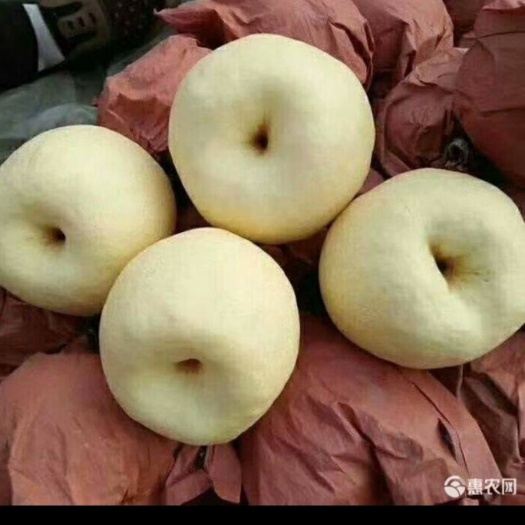 蒲城县圆黄梨 汁多皮薄服务态度很好