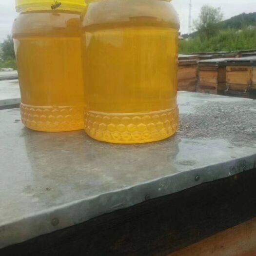 宝清县黑蜂蜂蜜 东北黑蜂椴树蜜（天然无任何加工和添加）