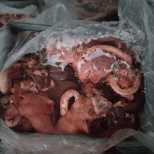 锡林浩特羊杂 草地羊心肝肺