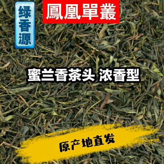 潮州凤凰单丛 原产地直发 低山蜜兰香茶头  浓香型 50斤起订