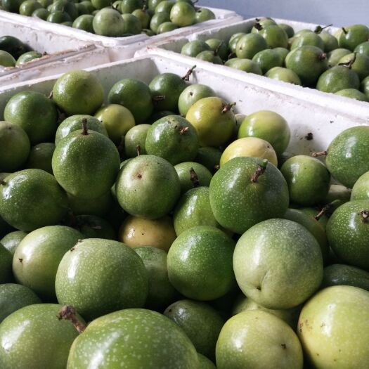 澜沧县巴乐百香果 黄金果5-7头