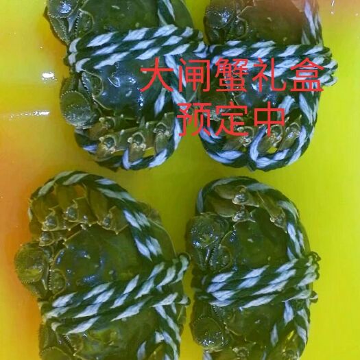 合肥 大闸蟹批零