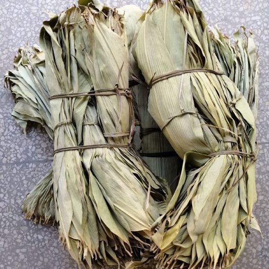 芦溪县粽叶  新货上市！！！