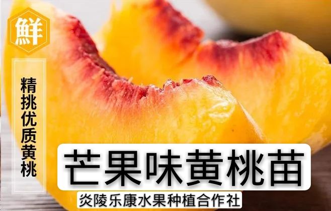 炎陵黄桃 本公司“自产自销，薄利多销，
