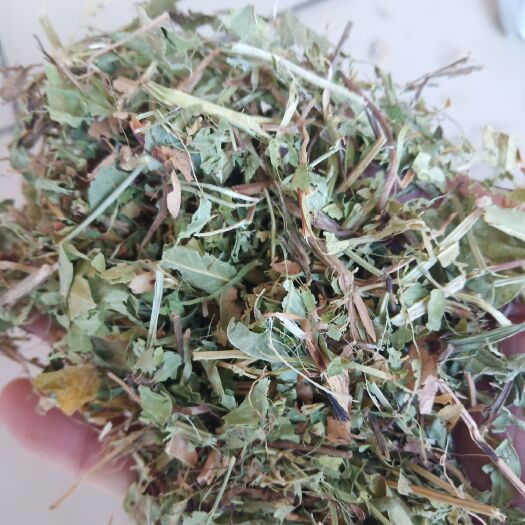 唐河县 2019新花生秧大量出售，厂家直销
