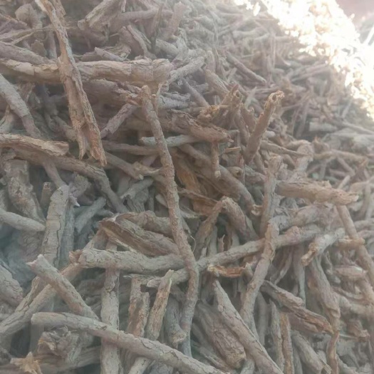 瓜州县地骨皮