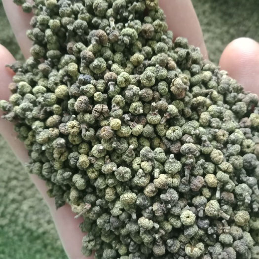 罗城县 有收江西中花吴茱萸的联系1887781--6011
