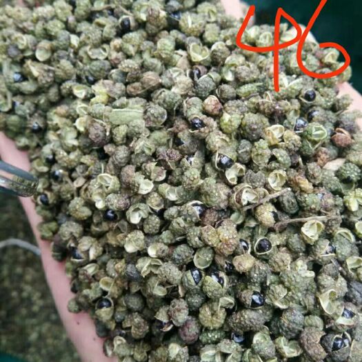 金阳县 金阳青花椒